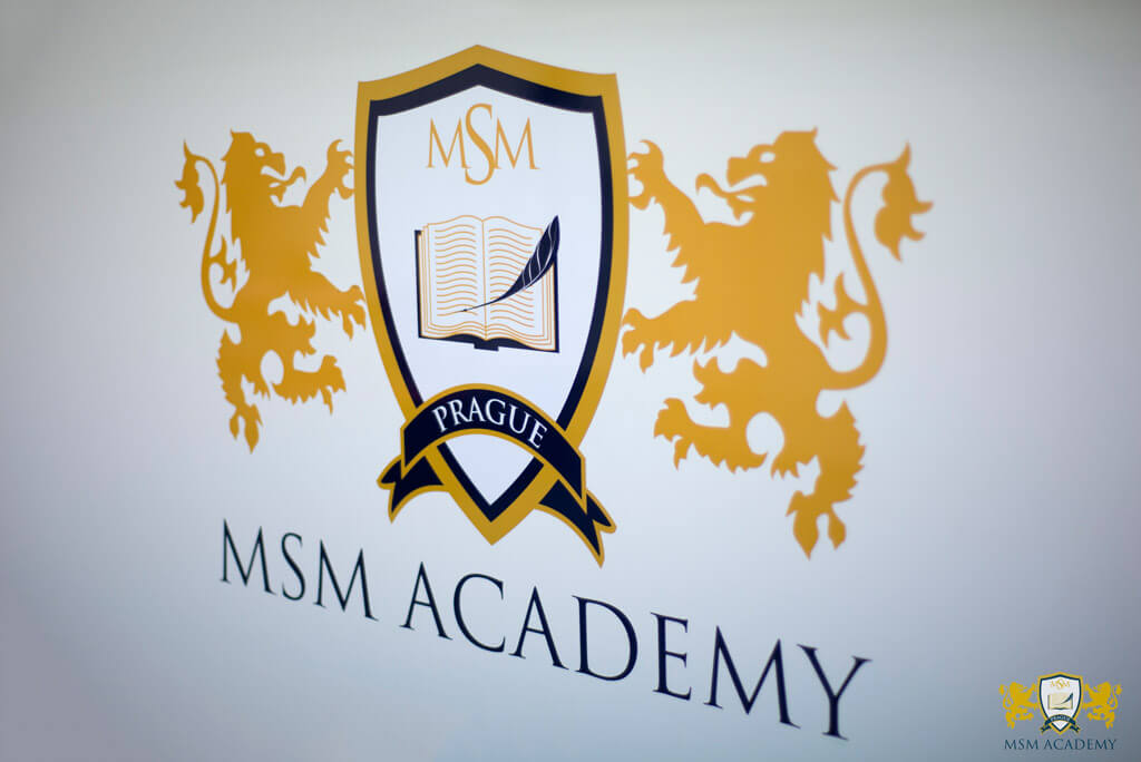 Image result for msm academy