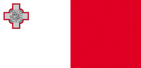 Flag of Malta. Studium na Maltě. MSM Academy