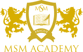 MSM Academy logo