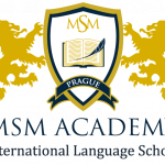 Msm logo